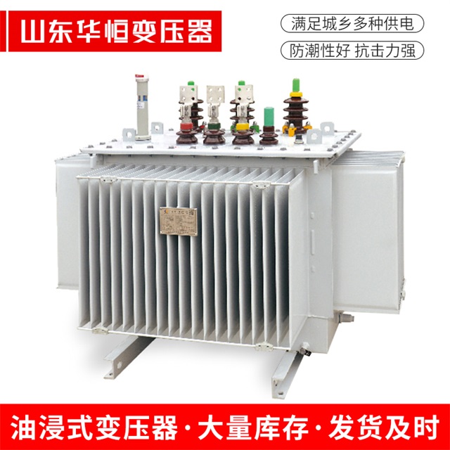 S13-10000/35金口河金口河金口河电力变压器